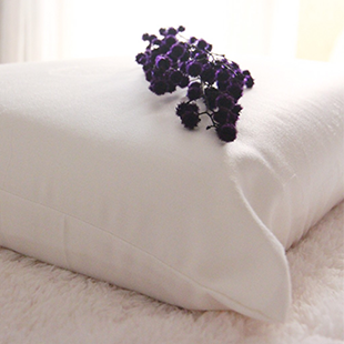 安比安思 恆溫釋壓親膚枕 舒適標準型